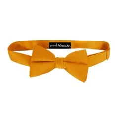 Gold Baby Bow Tie By Jacob Alexander Ties Neckties