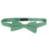 Sage Baby Bow Tie By Jacob Alexander Ties Neckties -Tie Discount Store JPSBTB031 1