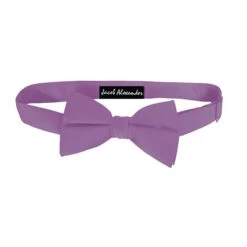Medium Purple Baby Bow Tie By Jacob Alexander Ties Neckties