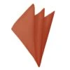 Jacob Alexander Solid Burnt Orange Hankie Ties Neckties