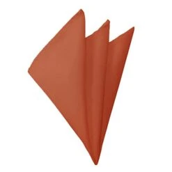 Jacob Alexander Solid Burnt Orange Hankie Ties Neckties