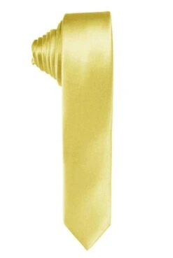 Jacob Alexander Baby Yellow 2.75 Inch Skinny Ties Neckties