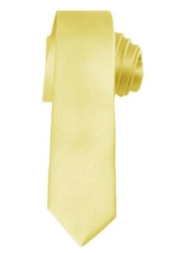 Jacob Alexander Baby Yellow 2 Inch Skinny Ties Neckties