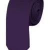 Skinny Eggplant 2 Inch Manzini Ties Neckties 2 Skinny Eggplant 2 Inch Manzini Ties Neckties -Tie Discount Store MN200 103 1