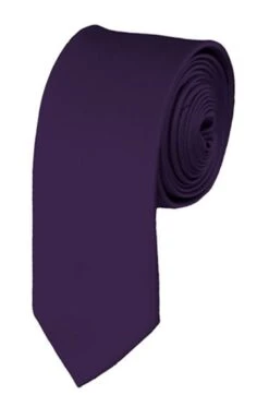 Skinny Eggplant 2 Inch Manzini Ties Neckties