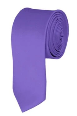 Skinny Purple 2 Inch Manzini Ties Neckties