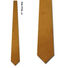 Boys Mustard Solid Color Ties Neckties