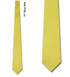 Boys Sunshine Yellow Ties Neckties