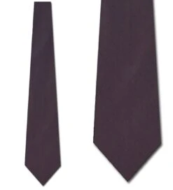 Bergamo Solid Electric Purple Ties Neckties